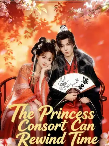 The Princess Consort Can Rewind Time poster