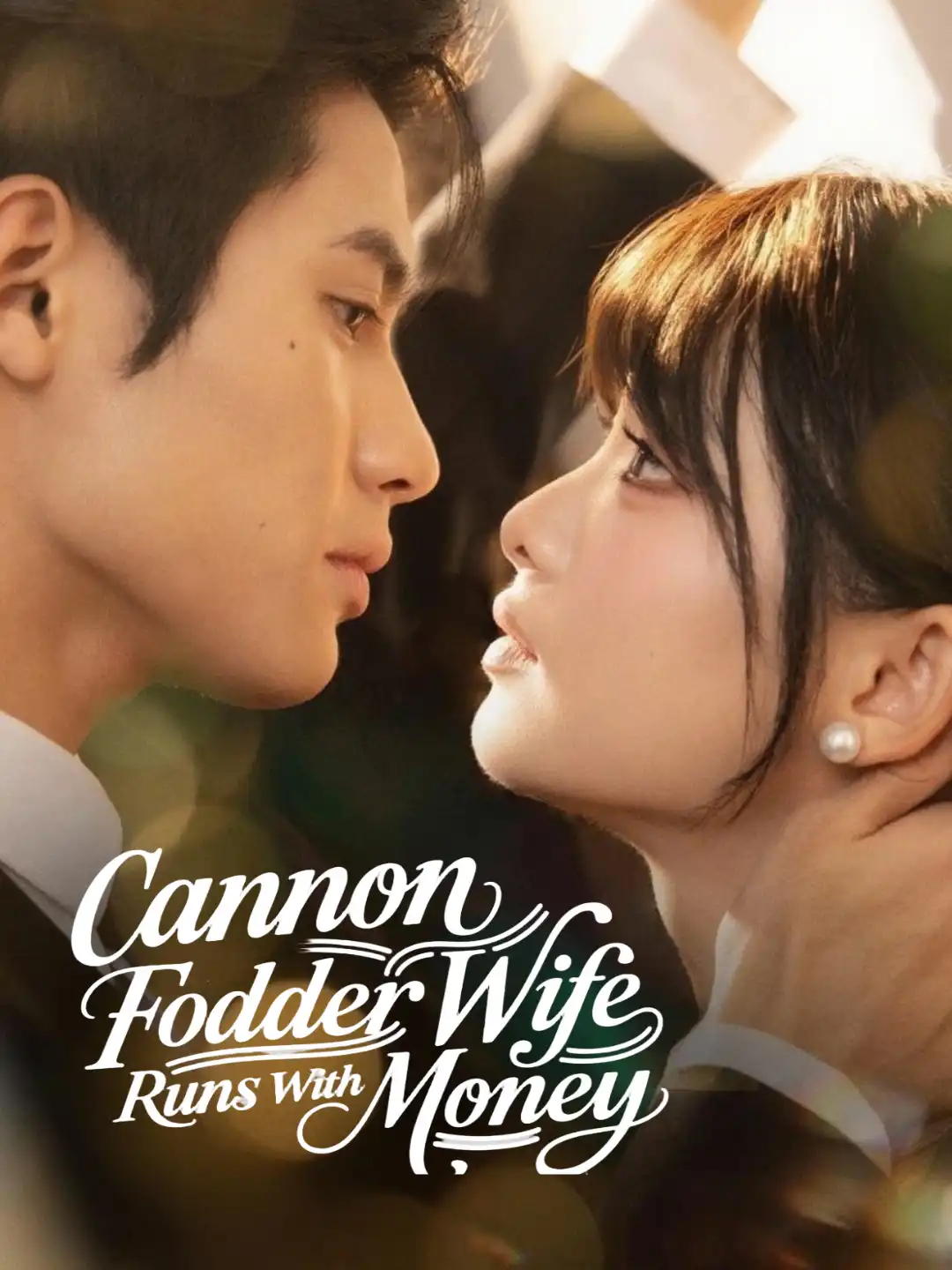 Cannon Fodder Wife Runs With Money poster