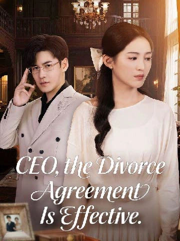 CEO, the Divorce Agreement Is Effective