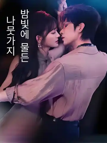 밤빛에 물든 나뭇가지