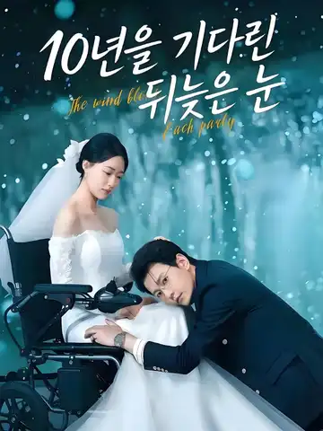 10년을 기다린 뒤늦은 눈