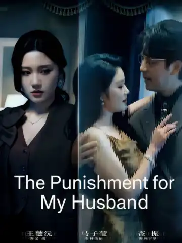 The Punishment for My Husband poster